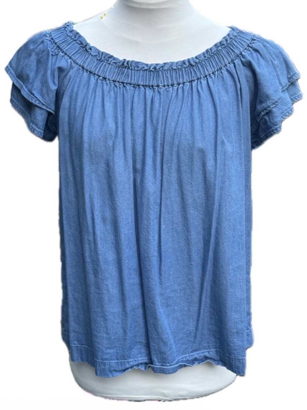 LOFT Light Blue Chambray Smocked Neck Flutter Sleeve Top